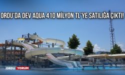 Ordu'da Dev Aqua 410 Milyon TL'ye Satılığa Çıktı!