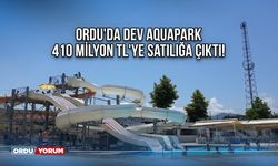 Ordu'da Dev Aquapark 410 Milyon TL'ye Satılığa Çıktı!