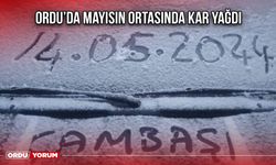 Ordu’da Mayısın Ortasında Kar Yağdı