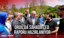 Ordu'da Sahada ÇED Raporu