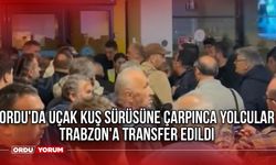 Ordu'da Uçak Kuş Sürüsüne Çarpınca Yolcular Trabzon'a Transfer Edildi