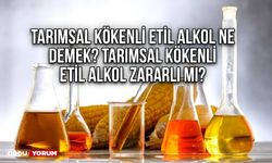 Tarımsal kökenli etil alkol ne demek? Tarımsal kökenli etil alkol zararlı mı?