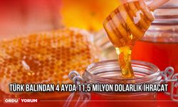 Türk Balından 4 Ayda 11,5 Milyon Dolarlık İhracat