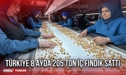 Türkiye 8 Ayda 205 Ton İç Fındık Sattı