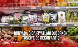 Dünyada Gıda Fiyatları Düşerken Türkiye'de Rekor Artış
