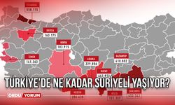 Türkiye'de Ne Kadar Suriyeli Yaşıyor? En Çok Suriyelinin Yaşadığı Şehirler! Ne Kadar Mülteci Var?