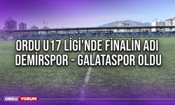 Ordu U17 Ligi'nde Finalin Adı Demirspor - Galataspor Oldu
