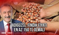 Adıgüzel: Fındık Fiyatı En Az 150 TL Olmalı