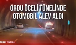 Ordu Öceli Tünelinde Otomobil Alev Aldı