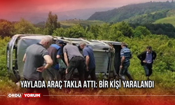 Yaylada Araç Takla Attı: Bir Kişi Yaralandı