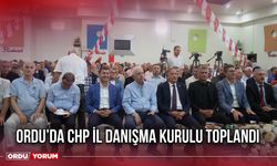 Ordu’da CHP İl Danışma Kurulu Toplandı
