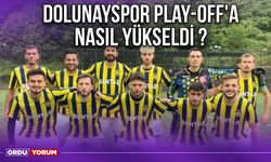 Dolunayspor Play-Off'a Nasıl Yükseldi ?
