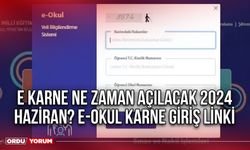 E Karne ne zaman açılacak 2024 Haziran? E-Okul karne giriş linki