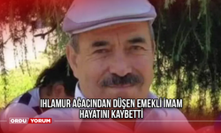 Ihlamur Ağacından Düşen Emekli İmam Hayatını Kaybetti