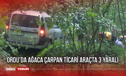 Ordu'da Ağaca Çarpan Ticari Araçta 3 Yaralı