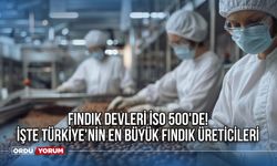 Fındık Devleri İSO 500'de! İşte Türkiye'nin En Büyük Fındık Üreticileri