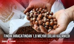 Fındık İhracatından 1,8 Milyar Dolar Kazanıldı