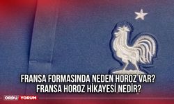 Fransa formasında neden horoz var? Fransa horoz hikayesi nedir?