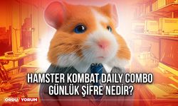 Hamster Kombat Günlük Şifre Kombo Güncel 28 Haziran 2024