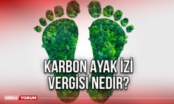 Karbon Ayak İzi Vergisi Nedir?