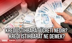 Kredi istihbarat ücreti nedir? Kredi istihbarat ne demek?