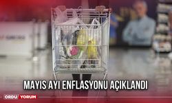 Mayıs Ayı Enflasyonu Açıklandı