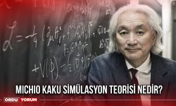 Michio Kaku simülasyon teorisi nedir?