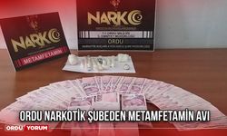 Ordu Narkotik Şubeden Metamfetamin Avı