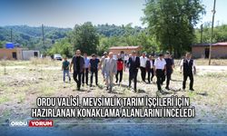 Ordu Valisi, Mevsimlik Tarım İşçileri İçin Hazırlanan Konaklama Alanlarını İnceledi