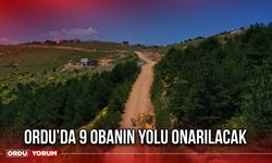 Ordu’da 9 Obanın Yolu Onarılacak