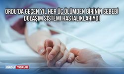 Ordu'da geçen yıl her üç ölümden birinin sebebi dolaşım sistemi hastalıklarıydı