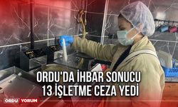 Ordu'da İhbar Sonucu 13 İşletme Ceza Yedi