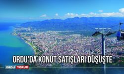 Ordu'da Konut Satışları Düşüşte