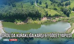 Ordu'da Kuraklığa Karşı 61 Gölet Yapıldı