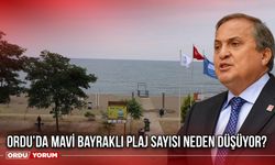 Ordu’da Mavi Bayraklı Plaj Sayısı Neden Düşüyor?