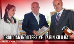 Ordu’dan İngiltere’ye 17 Bin Kilo Bal