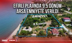 Efirli plajında 9,5 dönüm arsa emniyete verildi