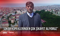 “Sokak Köpeklerinden Çok şikayet Alıyoruz”