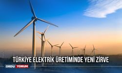 Türkiye Elektrik Üretiminde Yeni Zirve