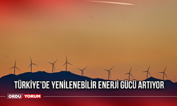 Türkiye'de Yenilenebilir Enerji Gücü Artıyor