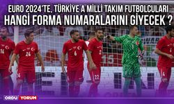 EURO 2024'te, Türkiye A Milli Takım Futbolcuları Hangi Forma Numaralarını Giyecek ?