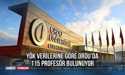 YÖK Verilerine Göre Ordu'da 115 Profesör Bulunuyor