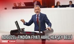 Adıgüzel: Fındığın Fiyatı Hariç Her Şey Belli