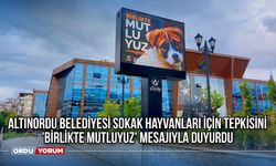 Altınordu Belediyesi Sokak Hayvanları İçin Tepkisini 'Birlikte Mutluyuz' Mesajıyla Duyurdu