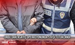 Ordu'daki Asayiş Operasyonunda 5 Kişi Tutuklandı