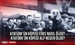 Atatürk'ün köpeği Foks nasıl öldü? Atatürk'ün köpeği Alp neden öldü?