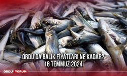 Ordu'da Balık Fiyatları Ne Kadar? 16 Temmuz 2024