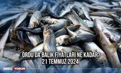 Ordu'da Balık Fiyatları Ne Kadar? 21 Temmuz 2024