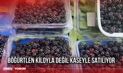 Böğürtlen Kiloyla Değil Kâseyle Satılıyor