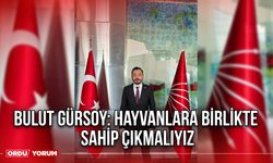 Bulut Gürsoy: Hayvanlara Birlikte Sahip Çıkmalıyız